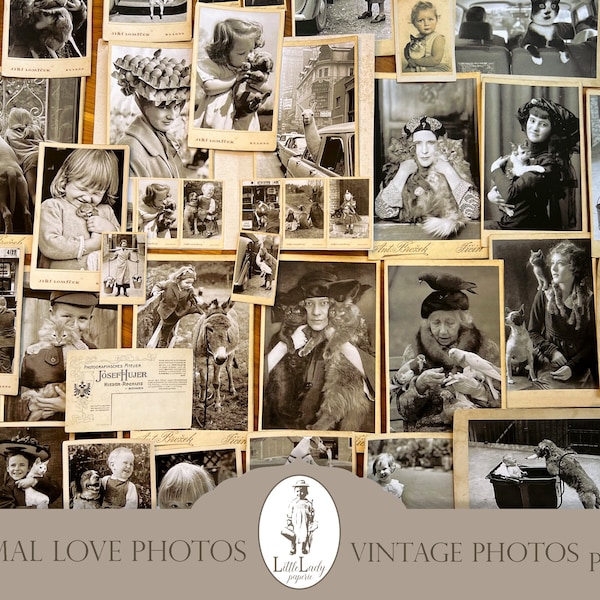 Vintage Animal Photos: Cats & Dogs Ephemera (Digital Download)