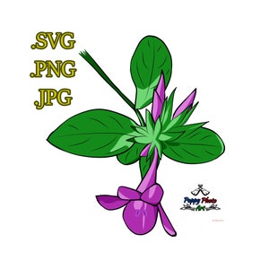 Clipart Flower.svg Flower.png Flower.jpg Download Now!!
