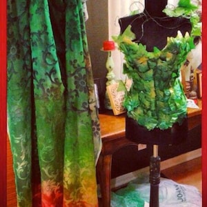 Made to order Partial* Custom Made Poison Ivy Cape and Corset