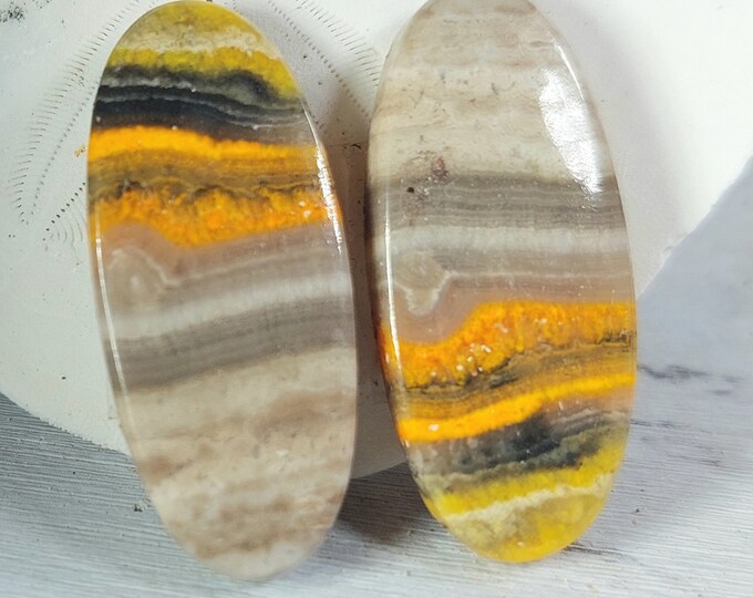 Bumblebee Jasper Set, Eclipse Jasper Cabochon, Oval Pair Jasper Cabochon, Wire Wrapping, Weaving, Use for Pendant, GB30