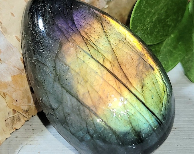 Natural Multi Flash Labradorite Pear Cabochon 55ct 34mm x 21mm Wire Wrapping, Weaving or Pendant, Collector EW24