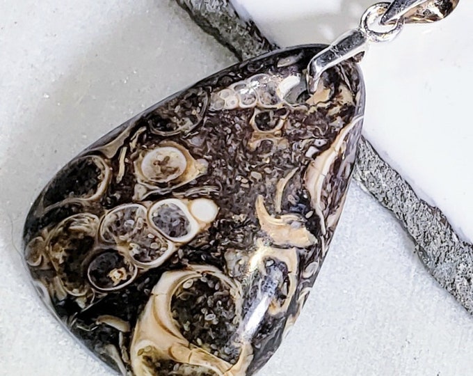 Natural Turritella Agate Pear Cabochon .925 Sterling Silver Pendant 1 1/2" x 7/8" EB08 Sterling Silver Bail