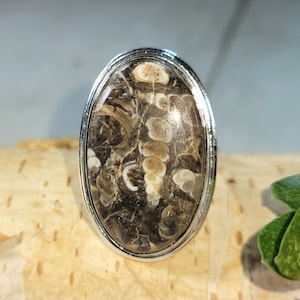 Turritella Agate Ring, Turritella Agate Sterling Silver Ring Size 6.5, Large Turritella Agate Ring, Statement Ring, Handmade Ring, CS