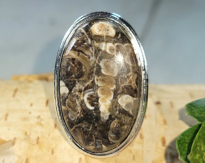Turritella Agate Ring, Turritella Agate Sterling Silver Ring Size 6.5, Large Turritella Agate Ring, Statement Ring, Handmade Ring, CS