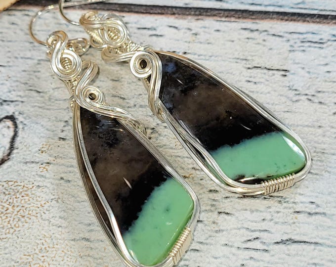 Blue Opalized Petrified Wood Earrings: Sterling Silver Wire Wrapped, JC41