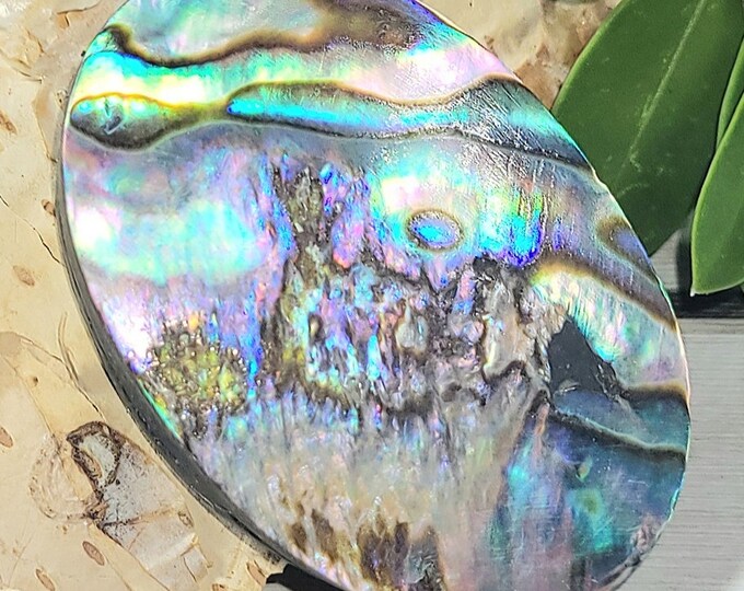 Natural Multi-Color Abalone Shell Oval Cabochon 50ct 35mm x 25mm Wire Wrapping, Weaving, Pendant ET29