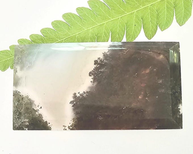 Moss Agate Cabochon, Scenic Moss Agate cabochon, Moss Agate Cabs, Moss Agate Scenic Cabochons, Green and White Moss Agate Cabochons FM31