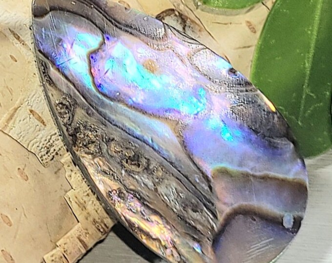Natural Multi-Color Abalone Shell Pear Cabochon 25ct 29mm x 16mm Wire Wrapping, Weaving, Pendant ET40