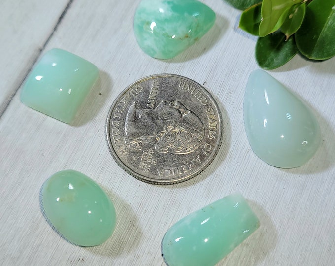 Natural Top Grade Australian Chrysoprase Cabochons 65ct 5 Stone Lot Wire Wrapping, Weaving, Rings or Pendant CL27 Mixed Sizes & Shapes