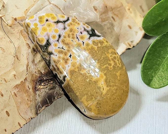 Natural High Grade Colorful Ocean Jasper Freeform Cabochon 20ct 30mm x 16mm Wire Wrapping, Weaving or Pendant, Collector AD15