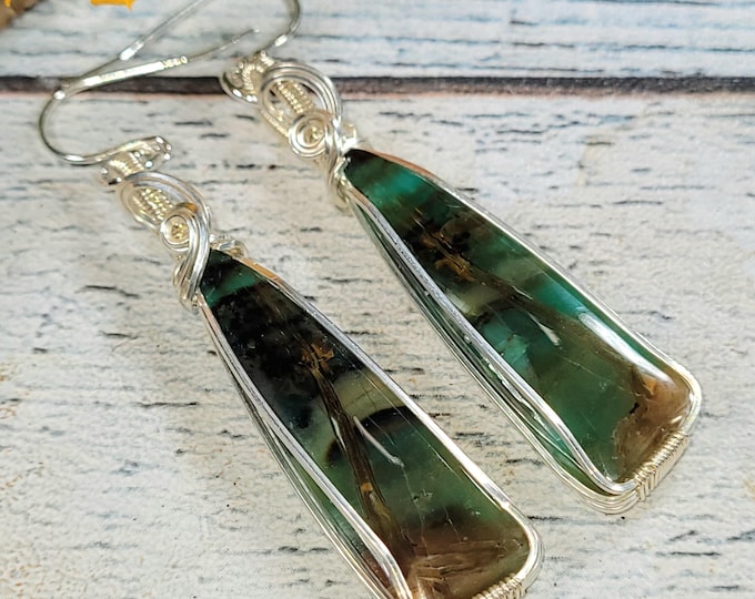 Blue Opal Petrified Wood Earrings: Sterling Silver Wire Wrapped JC51