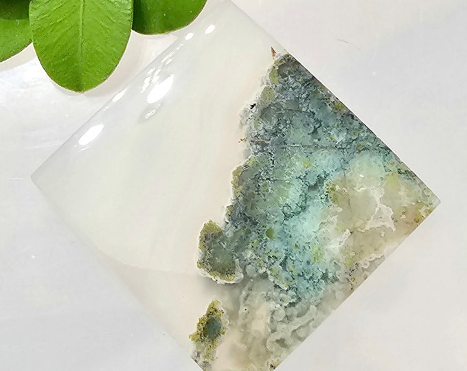 Moss Agate Cabochon, Scenic Moss Agate cabochon, Moss Agate Cabs, Moss Agate Scenic Cabochons, Green and Clear Moss Agate Cabochons FM30
