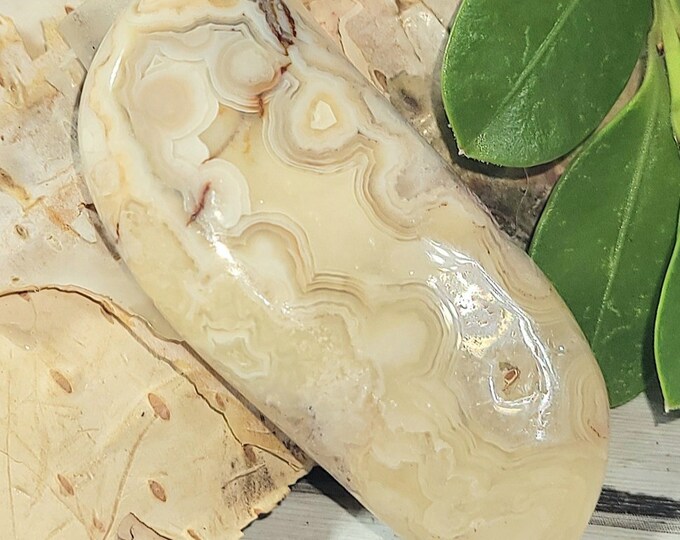 Natural Top Choice Crazy Lace Agate Freeform Cabochon 35ct Wire Wrapping, Weaving, Pendant ET34