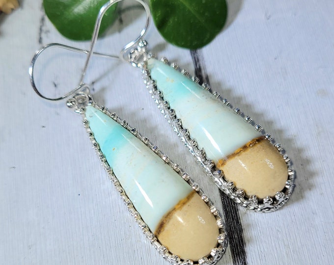 Blue Opal Earrings, Petrified Wood Earrings, Sterling Silver Blue Opalized Petrified Earrings, Sterling Silver Blue Opal Earrings DN11