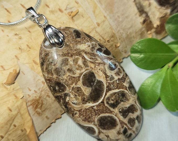 Natural Premium Turritella Agate Oval Cabochon .925 Sterling Silver Pendant 2 1/4" x 1" CP21 Rhodium Plated Solid Sterling Silver Bail