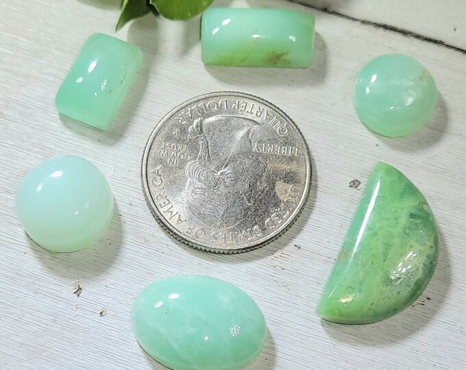 Natural Top Grade Australian Chrysoprase Cabochons 60ct 6 Stone Lot Wire Wrapping, Weaving, Rings or Pendant CL06 Mixed Sizes & Shapes