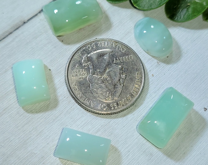 Natural Top Grade Australian Chrysoprase Cabochons 50ct 5 Stone Lot Wire Wrapping, Weaving, Rings or Pendant CL28 Mixed Sizes & Shapes