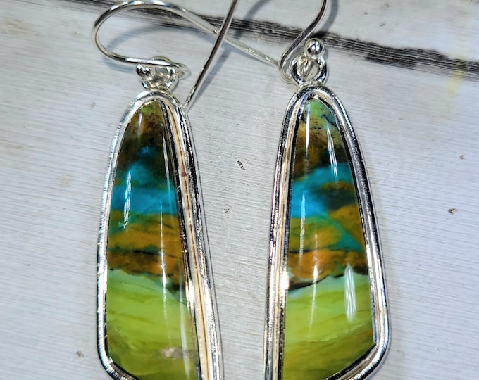 Blue Opal Earrings, Petrified Wood Earrings, .925 Sterling Silver Blue Opalized Petrified Earrings, Sterling Silver Blue Opal Earrings