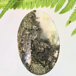 Moss Agate Cabochon, Scenic Moss Agate cabochon, Moss Agate Cabs, Moss Agate Scenic Cabochons, Green and Brown Moss Agate Cabochons FM39
