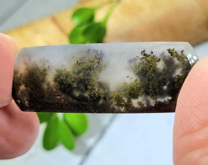 Moss Agate Cabochon, Scenic Moss Agate cabochon, Moss Agate Cabs, Moss Agate Scenic Cabochons, Green and Red Moss Agate Cabochons FK05
