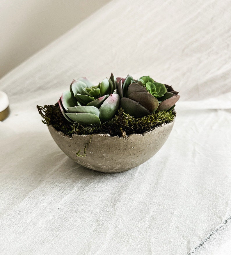 May include: A small, round, gray concrete bowl with a rough, uneven rim, filled with green and dark purple succulent plants nestled in a bed of dark green moss. The bowl has a textured, stone-like appearance and holds multiple plant rosettes.