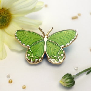 Leaf Green Amber Phantom Haetera Piera Butterfly Enamel Pin - Translucent | Patches & Pins Lapel Brooch Accessories Entomology