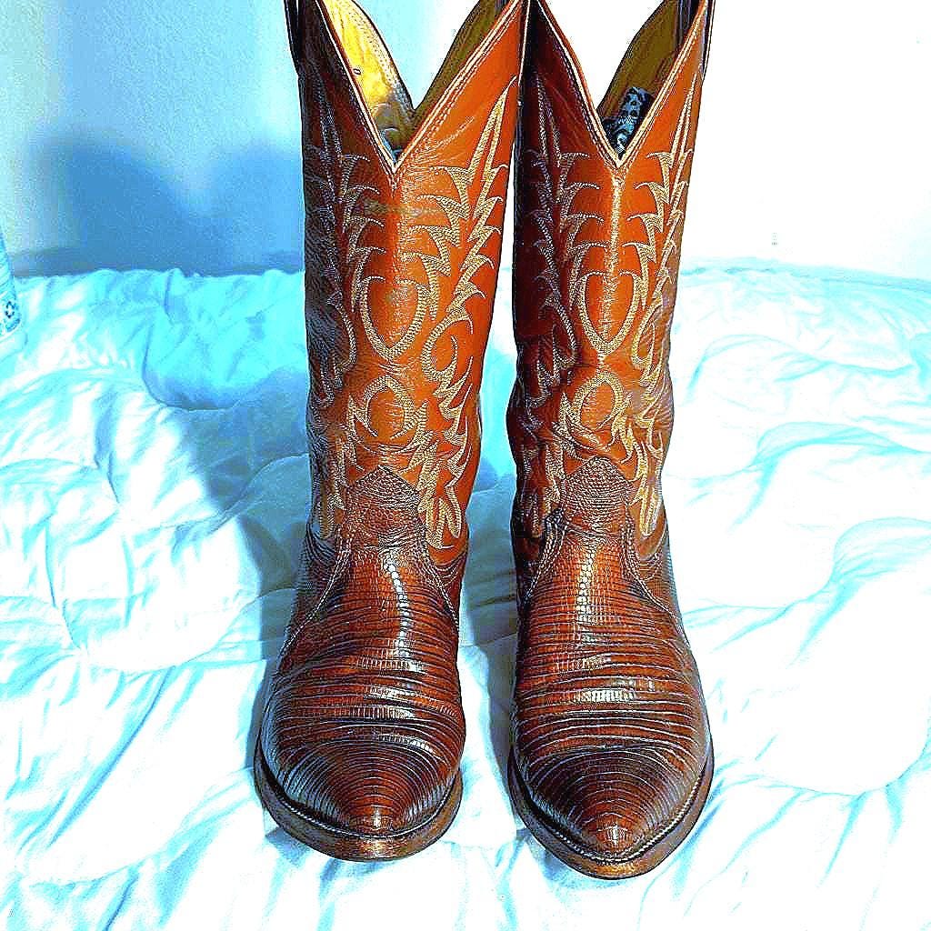 Ensemble De Bottes De Cow-girl Tendance Roses Image Vectorielle