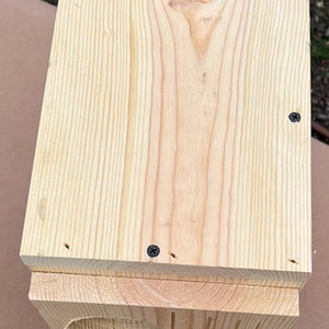 Sun Conures, Parrot nesting box