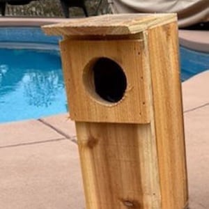 Screech Owl  single nesting box handmade