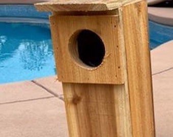 Screech Owl  single nesting box handmade
