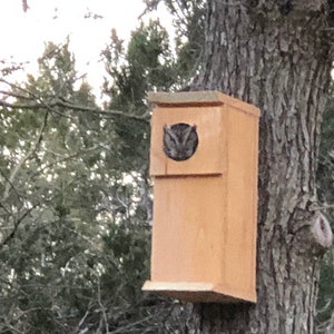 Cedar owl nesting with free shipping