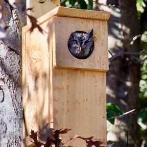 Owl nesting box handmade