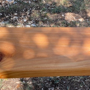 Cedar Swing ready to hang up!