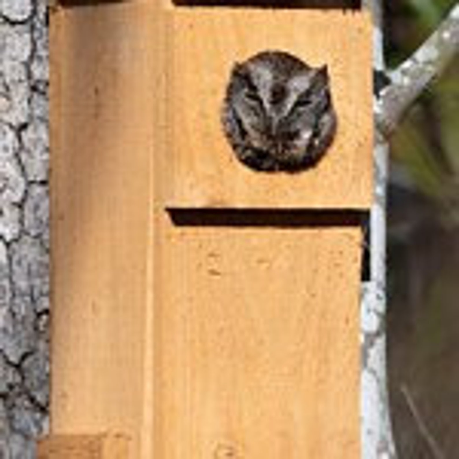 Owl Nesting Box Handmade Etsy