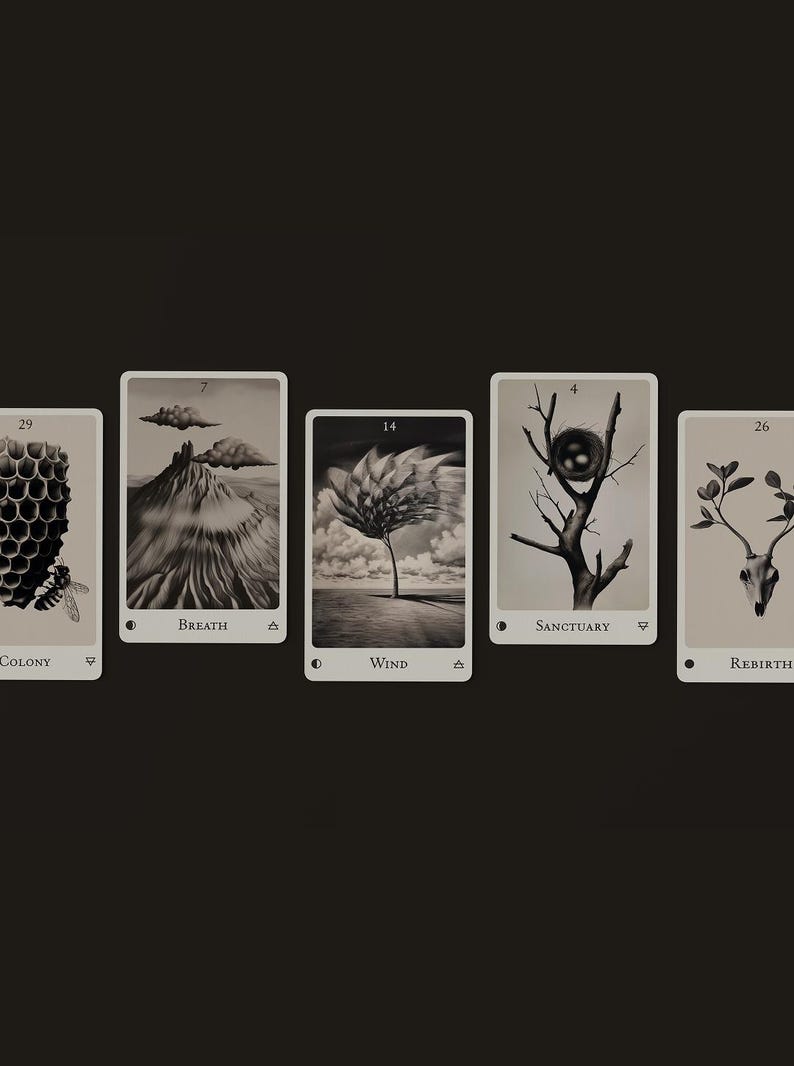 Echoes of the Wood Oracle Deck Etsy