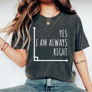 Funny Math Shirt Math Shirt Math Teacher Math Teacher Gift Math Appreciation Mathematics Shirt Math Instructor Math Gift Geek Shirt OK