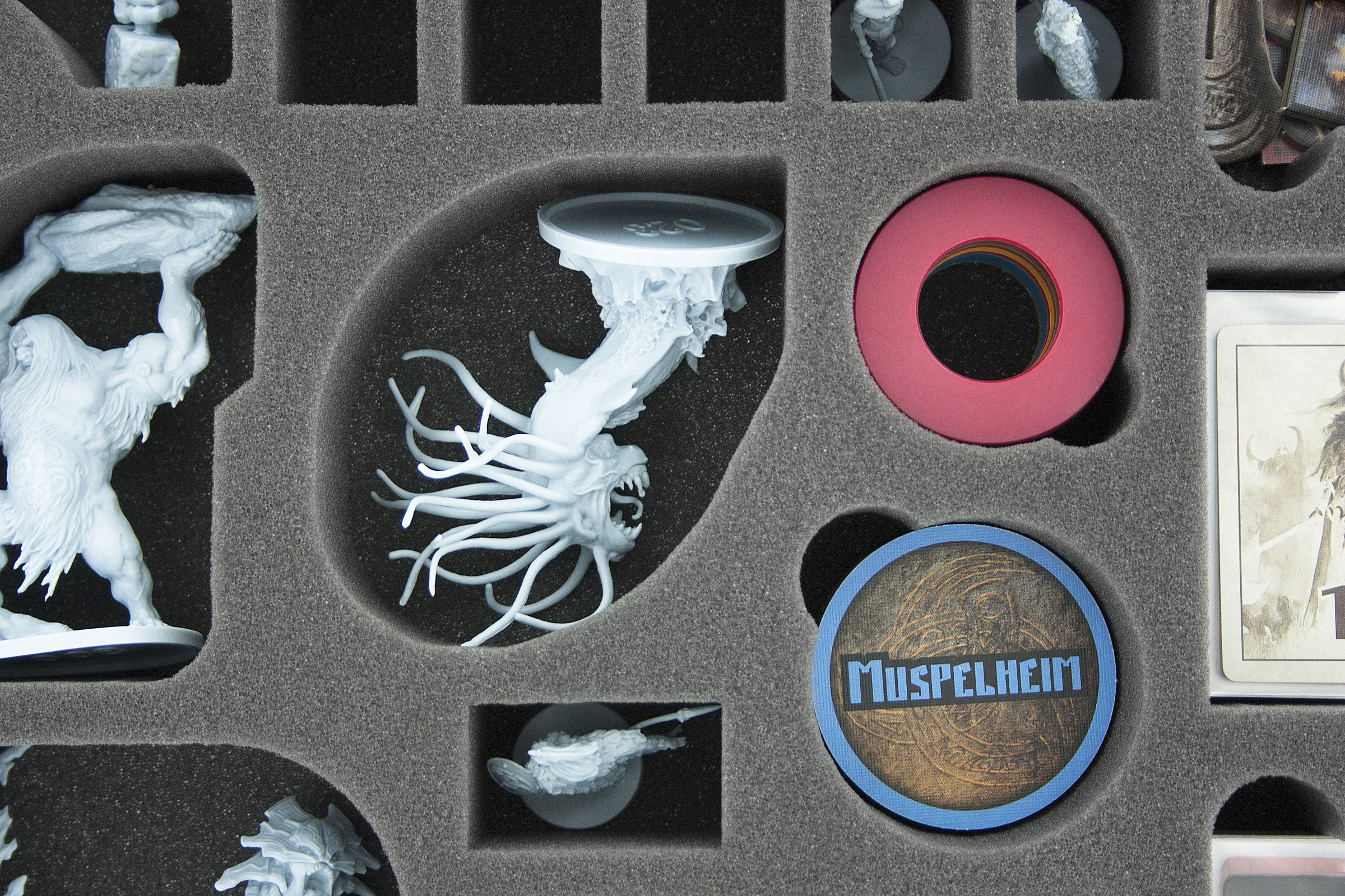 Feldherr AG040BR01 - Insert en mousse 40 mm pour Blood Rage