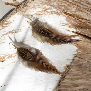 May include: A pair of feather earrings with gold hooks. The feathers are brown and white with a dark brown pattern.
