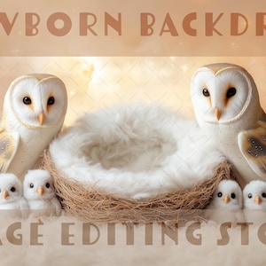 Puede incluir: Un telón de fondo para recién nacidos con dos grandes búhos blancos que flanquean un nido con material blanco y esponjoso. Tres pequeñas figuras de búho blanco están frente al nido. Las palabras "NEWBORN BACKDROP" y "IMAGE EDITING STORE" están arriba y abajo.