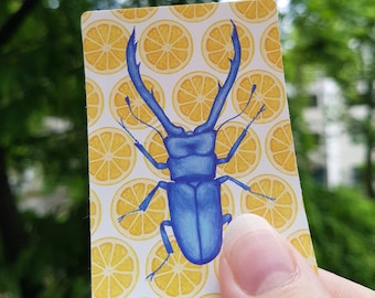 Citrus Stag Beetle Vinyl Sticker