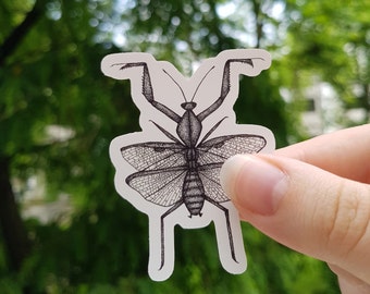 Mantis Insect Vinyl Sticker