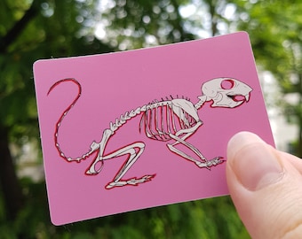 May include: A pink sticker with a white line drawing of a skeleton of a small mammal. The skeleton is posed in a running position with its tail curled up.