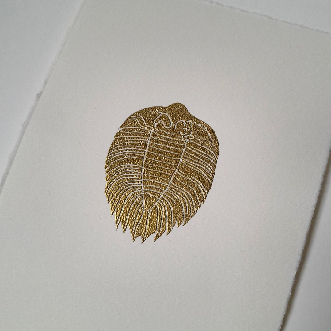 Fossil Engraving Gum Engraving Hand Engraved Stamp Hot Etsy