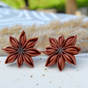 Pode incluir: Um par de brincos de anis estrelado castanho. Os brincos s&atilde;o feitos de um material de resina castanho e t&ecirc;m a forma de anis estrelado.