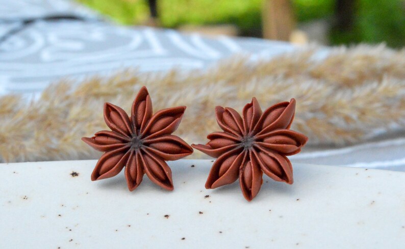 Pode incluir: Um par de brincos de anis estrelado castanho. Os brincos s&atilde;o feitos de um material de resina castanho e t&ecirc;m a forma de anis estrelado.