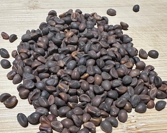 Water Convolvulus Seeds,Chinese Water spinash Seeds, Morning glory  Seeds