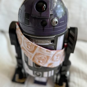 Batuu/Black Spire Outpost droid sash