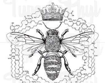 Queen Bee Pheromones
