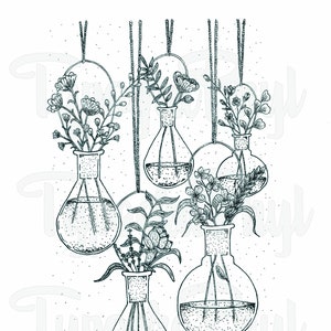 Hanging Flasks