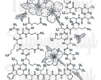Melittin Bee Venom
